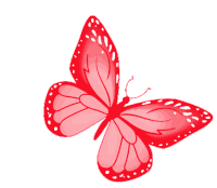 Butterfly Red Butterfly Sticker - Butterfly Red Butterfly Freedom Stickers