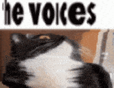 Uni Cat GIF - Uni Cat The Voices GIFs