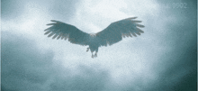 Adipurush Jatau GIF - Adipurush Jatau Eagle GIFs