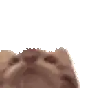 a close up of a person 's face with a white background and a blurred background .
