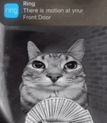 a cat is holding a fan of money in front of a ring app notification