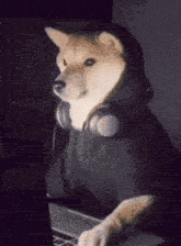a dog wearing headphones and a black shirt is using a laptop