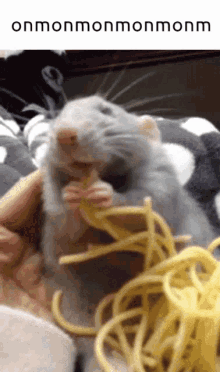 Yum Rat GIF - Yum Rat Spaghetti GIFs