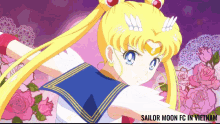 Sailor Senshi Smfcvn GIF
