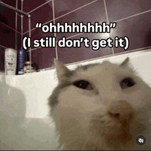 a cat in a bathtub with a caption that says " ohhhhhhhh "