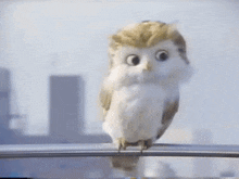 Choco Ice Owl GIF - Choco Ice Owl Cm GIFs