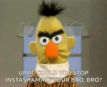 bert from sesame street is angry and says `` umm could you stop instashaming your bro , bro ? ''