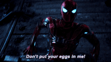 Spider Man Avengers GIF - Spider Man Avengers Dont Put Your Eggs In Me GIFs