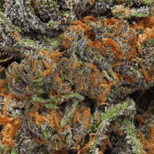 Marijuana Cannabis GIF - Marijuana Cannabis Fractal GIFs
