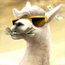 Lama Money GIF - Lama Money GIFs