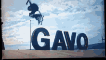 Gavo GIF - Gavo GIFs