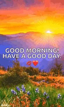 a colorful sunrise over a field of flowers with the words `` good morning have a good day '' .