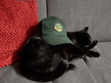 Cat Serpentsamba GIF - Cat Serpentsamba GIFs