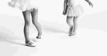 two little girls are standing next to each other wearing tutus and tights .