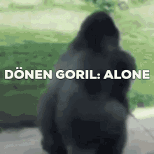 Alonesquad Goril GIF - Alonesquad Goril GIFs