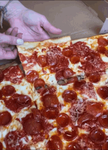Pizza Pepperoni GIF - Pizza Pepperoni Pizza Slice GIFs