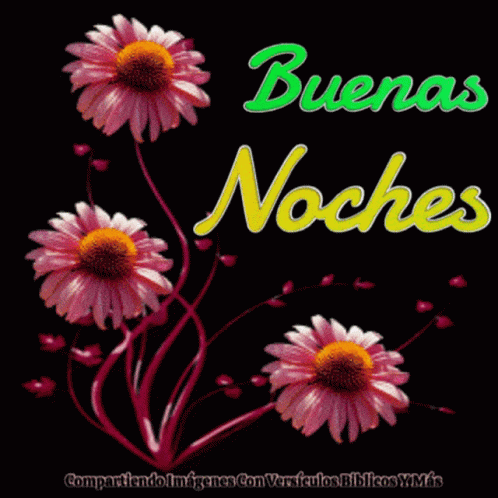 Buenas Noches Good Night GIF - Buenas Noches Good Night Flowers - Discover  & Share GIFs