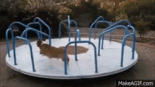 Dog Carousel GIF