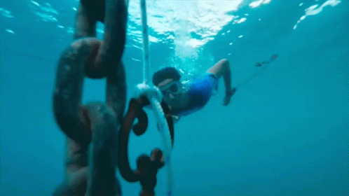 Swim Dive GIF - Swim Dive Diving GIFs
