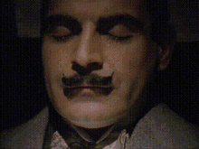 Hercule Hercule Poirot GIF