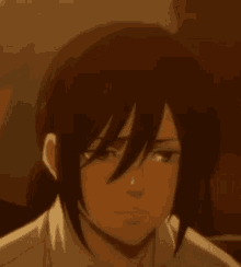 Mikasa Attack On Titan GIF - Mikasa Attack On Titan Blush GIFs