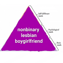 a purple pyramid with the words nonbinary lesbian boygirlfriend on it