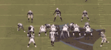 Go Panthers Nfl GIF - Go Panthers Nfl Football GIFs