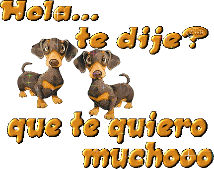Te Quiero Mucho Dog Sticker - Te Quiero Mucho Dog Te Dije Stickers