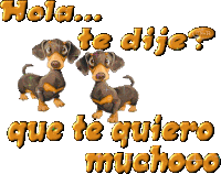 Te Quiero Mucho Dog Sticker - Te Quiero Mucho Dog Te Dije Stickers