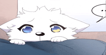 a white cat with blue eyes is laying on a bed with a speech bubble next to it .