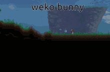 Weko Weko Bunny GIF - Weko Weko Bunny Terraria GIFs
