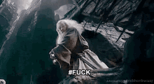 Gandalf Fuck GIF - Gandalf Fuck You Shall Not Pass GIFs