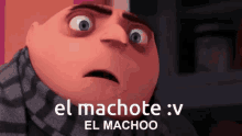 Dvid El Machote GIF - Dvid El Machote El Machoo GIFs