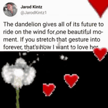 Jarod Kintz Instagram GIF - Jarod Kintz Instagram Dandelion GIFs