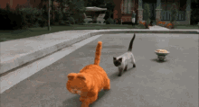 garfield nermal pie cats walking