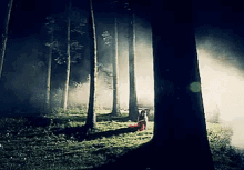 Forest Danna Paola GIF - Forest Danna Paola Trees GIFs
