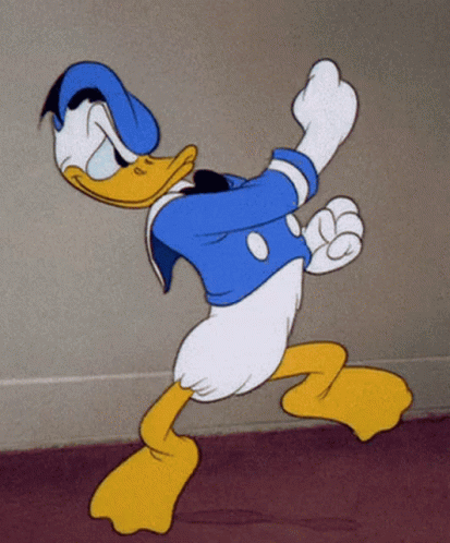donald-duck-fight.gif