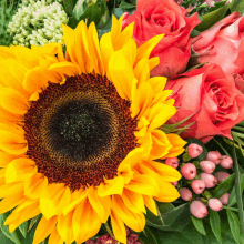 Roses And Sunflower GIF - Roses And Sunflower GIFs