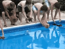 Dachshunds Swimming GIF - Dogs Swimming Pool GIFs
