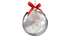 navidad bio esfera navidad aluisb ponte bio navidad bio esfera navidad aluisb ponte bio