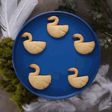 Sublime Swam Cookies Beautiful Cookies GIF - Sublime Swam Cookies Beautiful Cookies Decoration Cookies GIFs