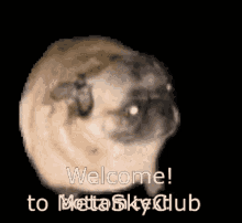 Metaskyclub GIF - Metaskyclub GIFs