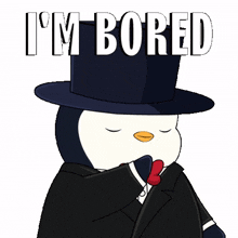 bored penguin boring yawn pudgy