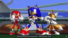 Sonic Fandub Bisexual GIF - Sonic Fandub Sonic Bisexual GIFs