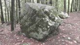 big boulder