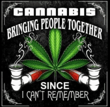 a poster with a marijuana leaf and pipes that says cannabis bringing people together since i can 't remember .