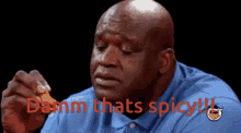 Spicy Shaquille O Neal GIF - Spicy Shaquille O Neal Damm Thats Spicy GIFs