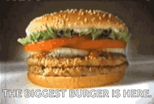 Biggest Burger GIF - Biggest Burger Ever GIFs