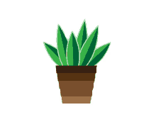 potted green