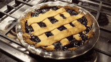 Blueberry Pie Pie GIF